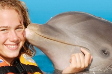 St. Thomas Dolphin Swim